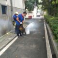 Preventing Chikungunya virus